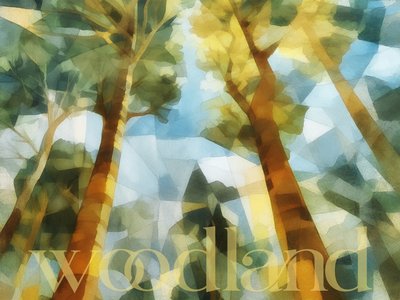 Woodland