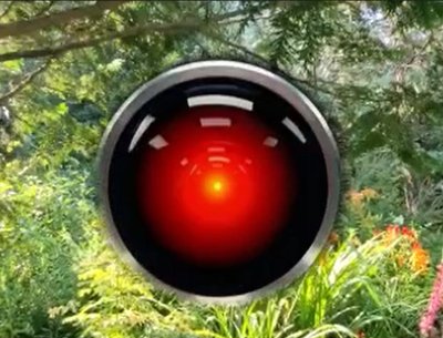 Chatbot Never