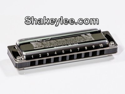 shakey lyman photo