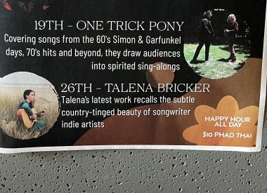 One Trick Pony (Paul Simon Tribute) photo