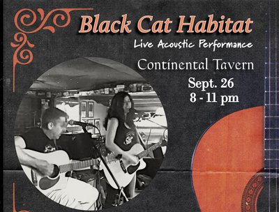 Black Cat Habitat photo