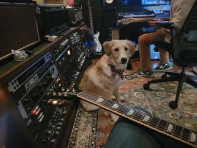 Easy Thieves photo