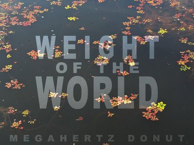 Weight of the World