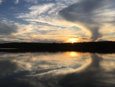 I love it here