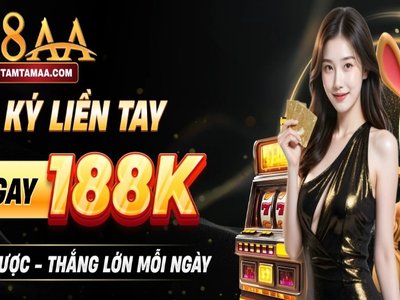 88AA photo