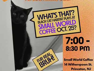 Black Cat Habitat photo
