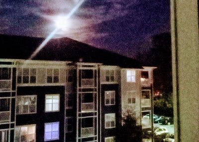 Full beaver moon. Dam! See what I did there? Next CD cover.
