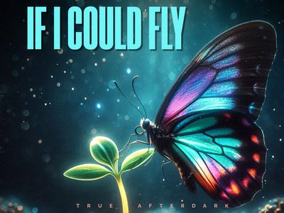 if i could fly