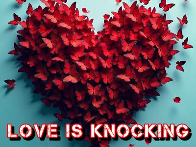 love knocking