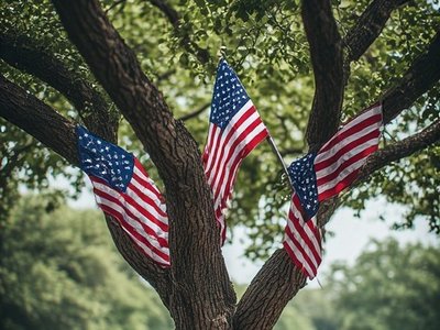 Liberty Tree