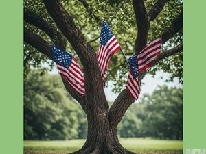 Liberty Tree
