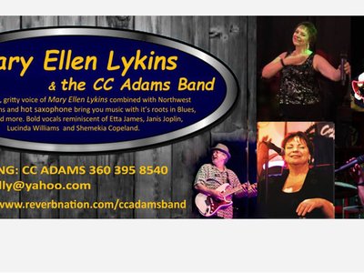 C.C. Adams Band photo