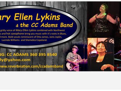 C.C. Adams Band photo
