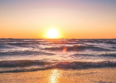 random text