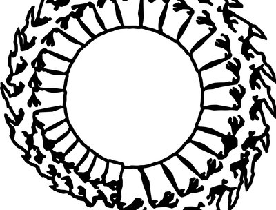 Black Spine Simplified