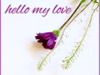 hello-love