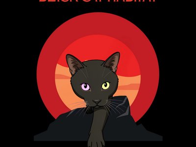 Black Cat Habitat photo