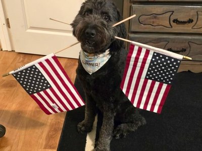 Patriotic Doodle