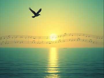 BirdNotes
