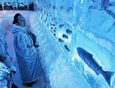 Frozen Aquarium