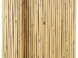 Bamboo Canes Supplier - Vantidebamboo.com