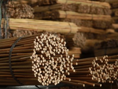Bamboo Canes Supplier - Vantidebamboo.com