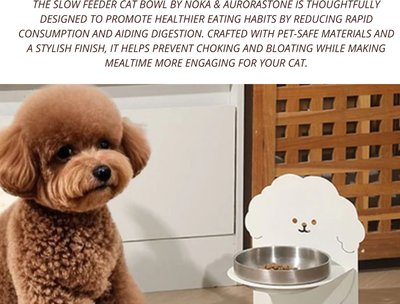 Slow Feeder Cat Bowl - Nokaaurorastone.com