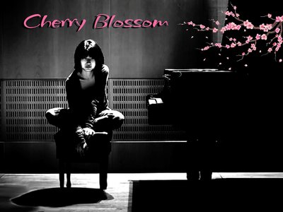 Cherry Blossom