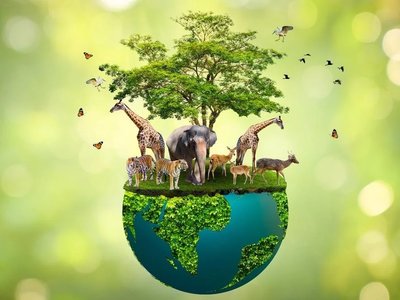 biodiversity photo