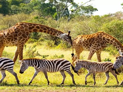 biodiversity photo