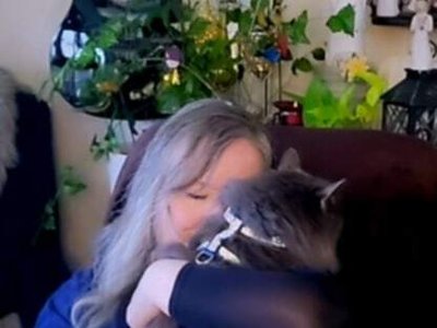 Kitty hug Mid Stream Sun Apr 26 2026