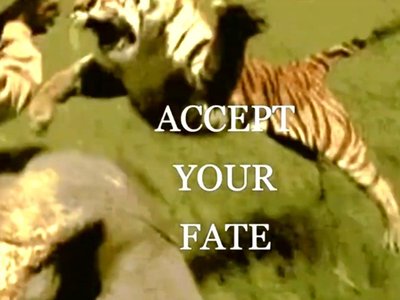 accept