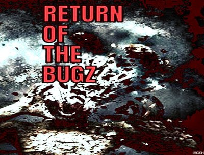 return of the bugz
