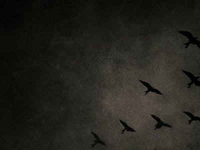 Necrovia photo