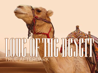 love desert