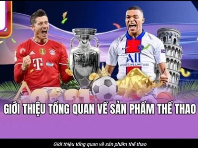 https://haywin8.co.com/the-thao/ Thể Thao Haywin – Sức Hút Từ Các Kèo Cá Cược Hiện
