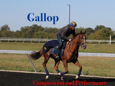 "Gallop" single cover - photo by Holly Riley