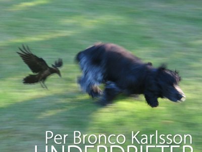 Per Bronco Karlsson, Underdrifter 2011