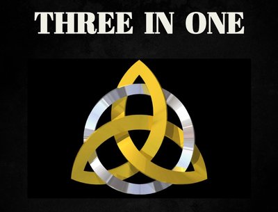 3IN1