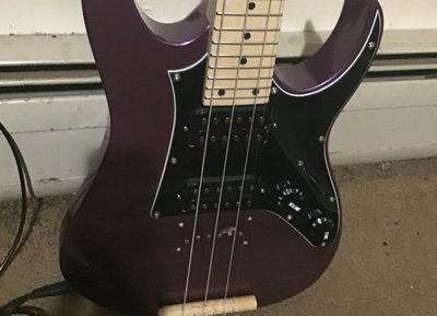 Purple Max