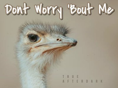 dont worry bout me