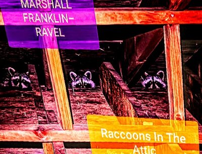 " Raccoons In The Attic " The New Album from MFR
