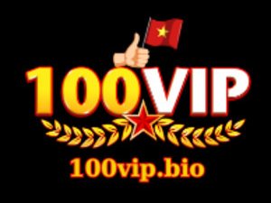 100VIP photo