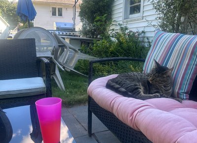 Relax