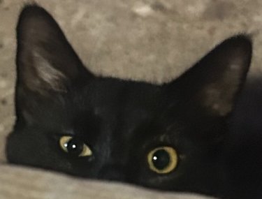 They are watching you