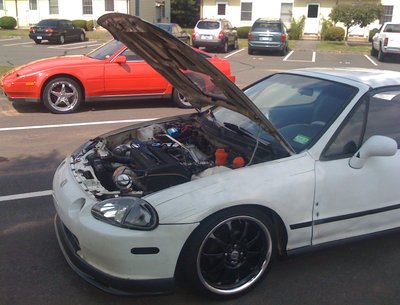 Whips