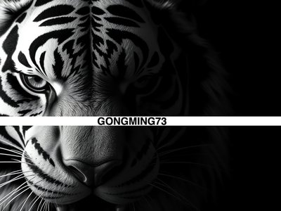 gongming73 photo