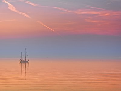 Tony Cardo photo