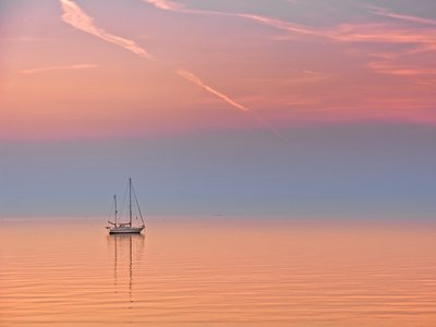 Tony Cardo photo