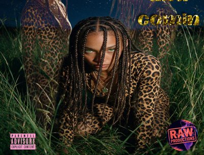 That animal TeeFlow Raw, part owner, lyrical, engineer, assistant producer